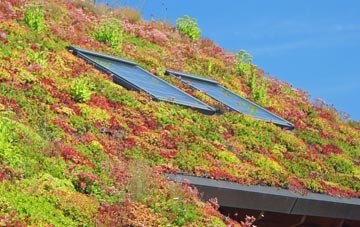 Hampton Lucy living roof systems